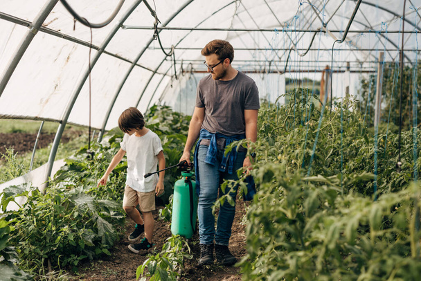 Boy is asking his father a question about vegetables in the greenhouse. - Fotoğraf, Görsel