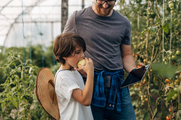 Closeup view of a son eating apple in the greenhouse with his father. - Fotoğraf, Görsel