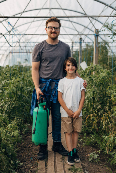 Front view of son and father in their greenhouse. - Foto, immagini