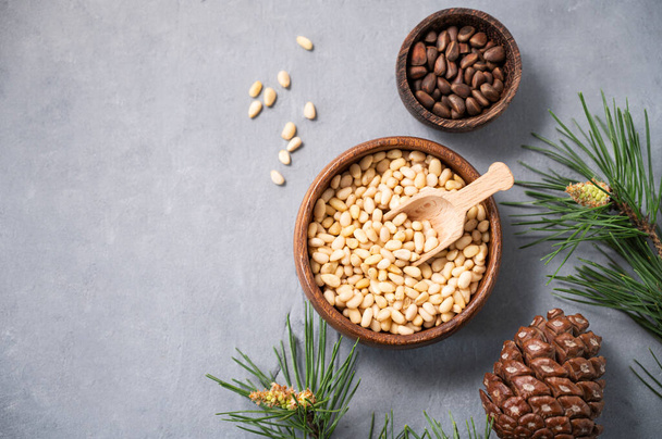 Pine nuts in a bowl and wooden scoop on a blue texture background with branches of pine needles and a cone. The concept of a natural, organic and healthy superfood and snack.  Top  view and copy space. - Фото, изображение