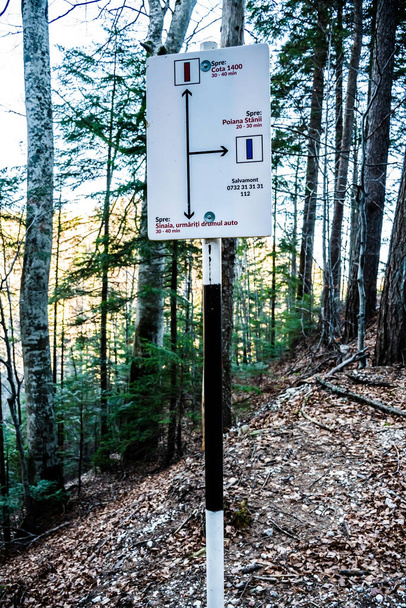 SINAIA, ROMANIA - JANUARY 02, 2023: Signpost with various hiking trail directions. Route marking for tourists. - Φωτογραφία, εικόνα