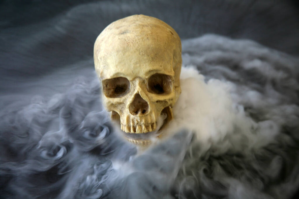 Crâne humain. Crâne humain effrayant en fumée. Crâne humain maléfique. Cannibalisme. Halloween. Crâne effrayant.  - Photo, image