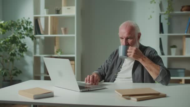 Glimlachende oude zakenman met koffiepauze op het werk van huis.Portret van ontspande oudere man Drinken Cup van thee tijdens het werken op de laptop. Begrip freelance en moderne technologie. - Video