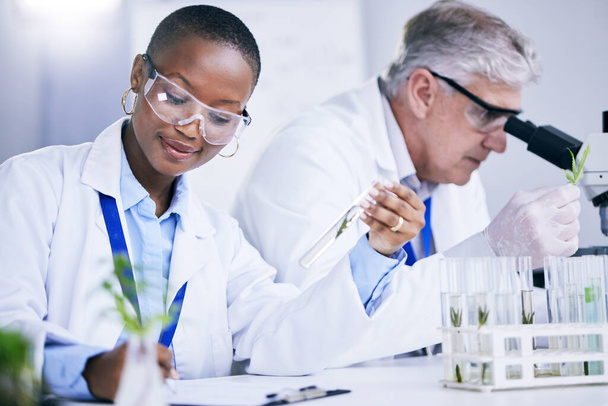 Science, agriculture and research with doctors in a laboratory together for sustainability or innovation. Healthcare, medical and pharmaceuticals with a scientist team in a lab to study plants. - Foto, imagen