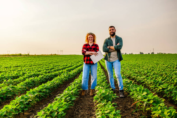 Perheen maataloustyö. Mies ja nainen viljelevät soijapapuja. He ovat tyytyväisiä kasvien hyvään edistymiseen. - Valokuva, kuva