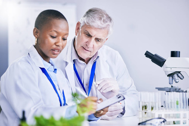 Paperwork, teamwork or scientist writing research notes for analysis on experiment, medical info or innovation. Science, collaboration or researchers in laboratory with documents for agro development. - Photo, Image