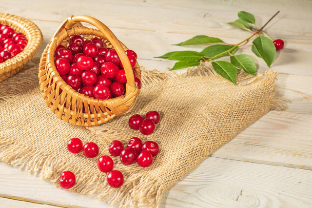 Small basket full of cherries on a burlap napkin.Rustic style - Photo, Image