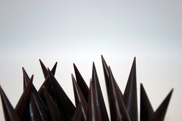 Chocolates alargados se encuentran sobre fondo blanco - Foto, Imagen