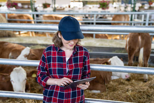 Woman farmer with tablet at a dairy farm. Herd management. - Фото, зображення