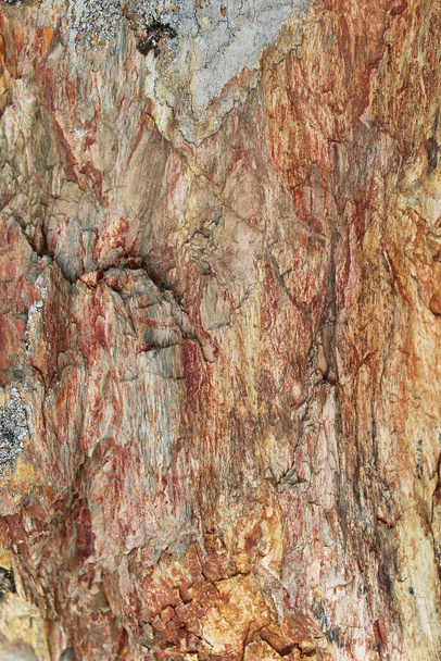 natural texture of stone surface - Foto, Imagem