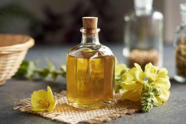 Ένα μπουκάλι mullein ή Verbascum βάμμα με φρέσκο φυτό σε ένα τραπέζι - Φωτογραφία, εικόνα