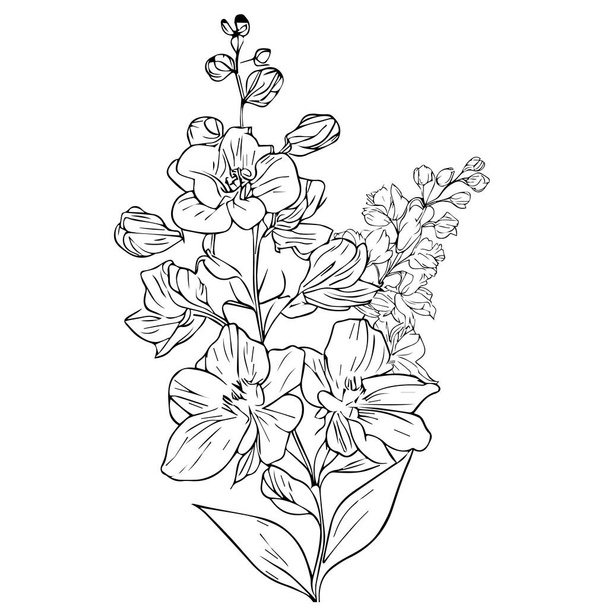 ベクター・フローラル・ブラックとホワイト。インクと白の彫刻インクの花、ラークスパーの花の図面のポスターと印刷、植物デルフィニウムの花のベクトルの図面、クリップアートラークスパー、誕生月7月タトゥーのアイデアライトブルーデルフィニウムの花の花束の配置  - ベクター画像