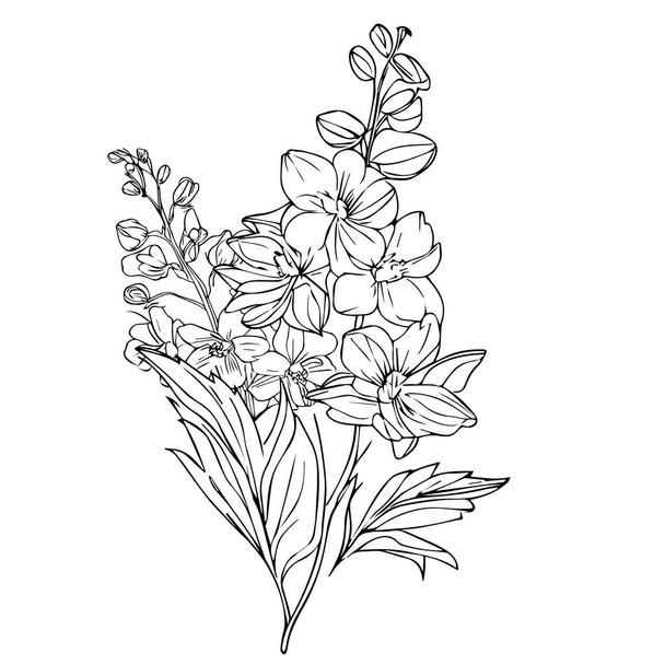 sketch of a branch of the tree. hand-drawn illustration of women s larkspur tattoo, realistic larkspur tattoo black and white, larkspur black and white, Black and white larkspur flower illustration, single line art, delphinium stock outline drawing, - ベクター画像