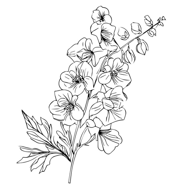 όμορφο χειροποίητο ασπρόμαυρο λουλούδι με φύλλα. απομονωμένο σε λευκό φόντο. - Διάνυσμα, εικόνα