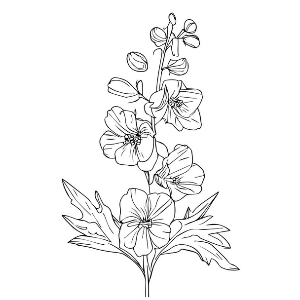 schöne handgezeichnete schwarz-weiße Blume mit Blättern. isoliert auf weißem Hintergrund. - Vektor, Bild