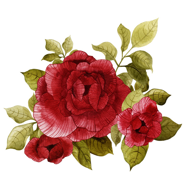 Watercolor roses Bouquet - Фото, зображення