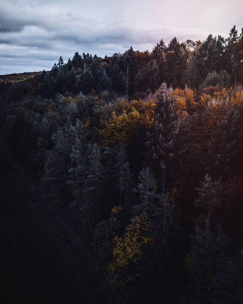 Вид с воздуха на осенний лес в Штутгарте, Германия - Фото, изображение