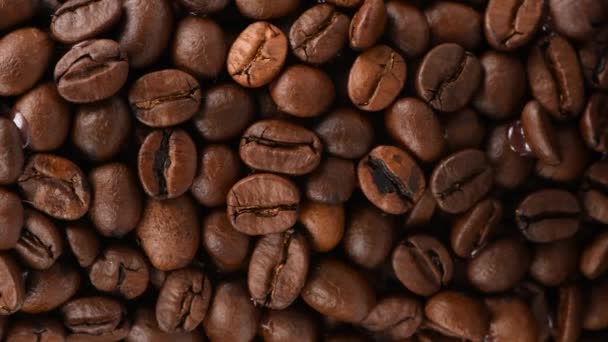 Coffee beans isolated on a white background. Side view. Movement from top to bottom. Loop motion. Rotation 360. 4K UHD video footage 3840X2160. - Footage, Video