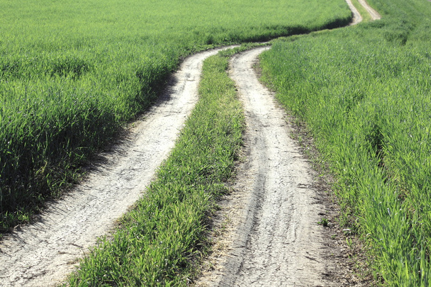 Mező kanyargós út rét - Fotó, kép