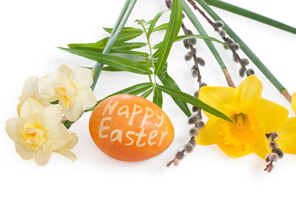 Daffodils, pussy willow branch, easter egg, isolated on white ba - Photo, image