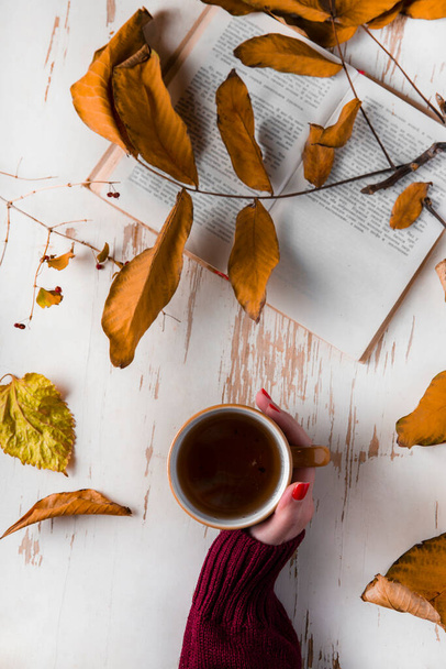 Female hands in a sweater with a cup of tea and a book, on a white background with leaves. Autumn concept. - Fotoğraf, Görsel