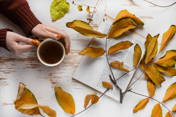 Female hands in a sweater with a cup of tea and a book, on a white background with leaves. Autumn concept. - Foto, immagini