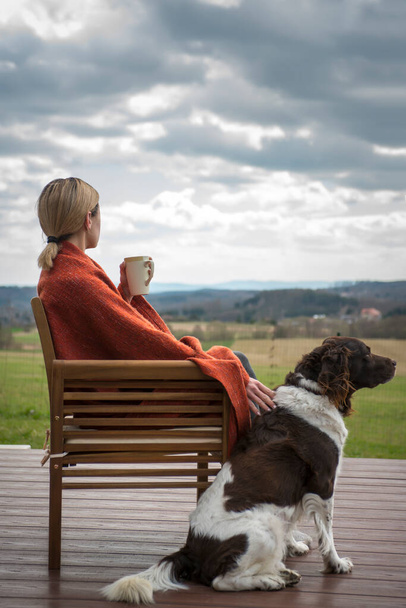 The setter dog sitting next to his owner on the outdoor - Photo, image