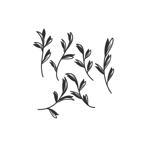 Ramo floral e folhas minimalistas para logotipo ou tatuagem. Linha desenhada à mão erva de casamento, flores silvestres elegantes. Desenho de arte de linha mínima para impressão, capa ou papel de parede - Vetor, Imagem