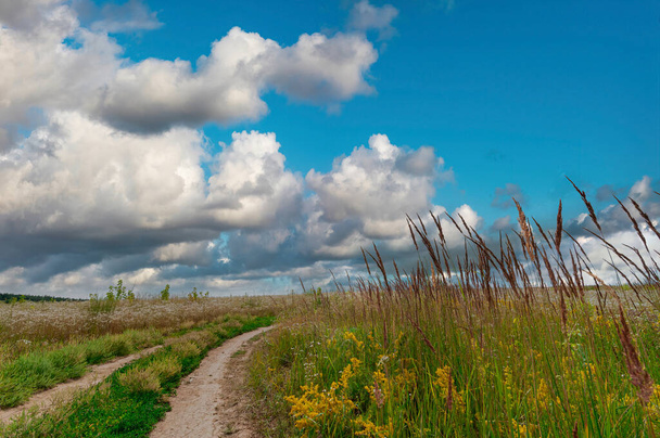 Beautiful countryside dirt road in the field with wildgrass with blue sky and clouds on the background - Foto, afbeelding