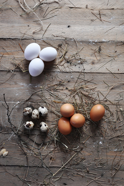 Un uovo d'oca, un uovo di gallina e un uovo di quaglia su uno sfondo di legno
 - Foto, immagini