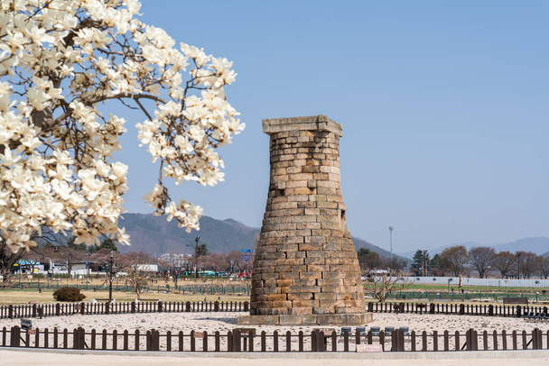 Cheomseongdae Ősi Obszervatórium virágozni fog tavasszal Gyeongju, Dél-Korea. Kiváló minőségű fénykép - Fotó, kép