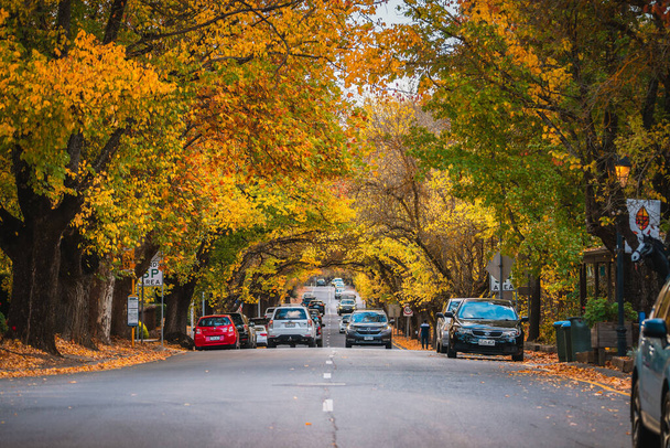南オーストラリア州アデレードヒルズ-2021年5月1日:秋のシーズン中に車とハンドルフのメインストリートビュー - 写真・画像