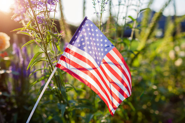 Independence day of USA. American flag put in summer garden by flowers at sunset. July 4th. Memorial day. Close up of national symbol - Photo, image