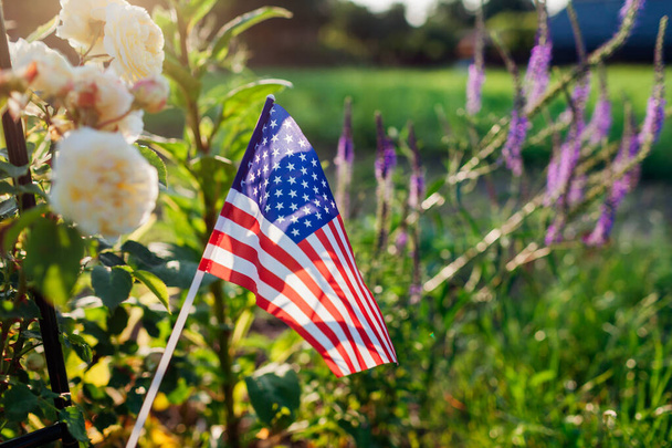 Den nezávislosti USA. Americká vlajka vyvěšená v letní zahradě růžovými květy při západu slunce. 4. července. Památný den. Zavřít symbol - Fotografie, Obrázek