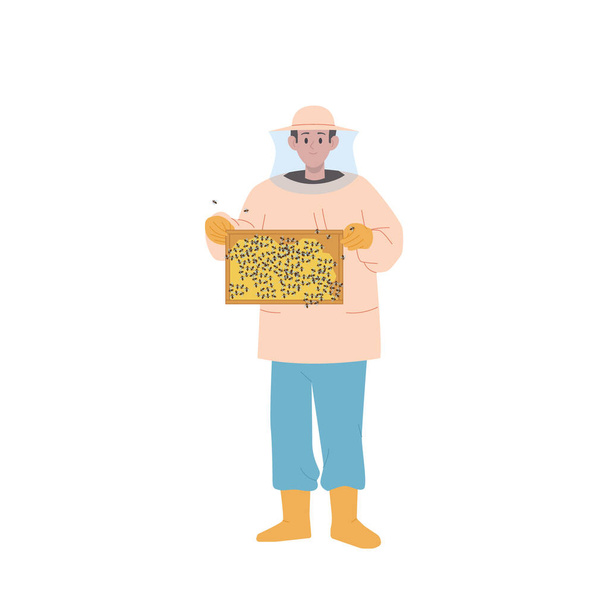 Професійний чоловічий персонаж-бджоляр, що тримає рамку з векторною ілюстрацією медових стільників і бджіл, ізольований на білому тлі. Продуктивність, бджільництво та концепція виробництва меду - Вектор, зображення