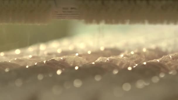 статическая замедленная съемка крупным планом разбрызгивателя муки, крошящегося на свежеприготовленные розовые зефиры - Кадры, видео