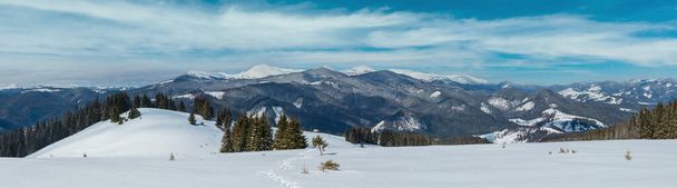 Picturesque winter mountain view from alpine path with footprint. Skupova mountain slope, Ukraine, view to Chornohora ridge and Pip Ivan mountain top with observatory building, Carpathian. - Photo, Image