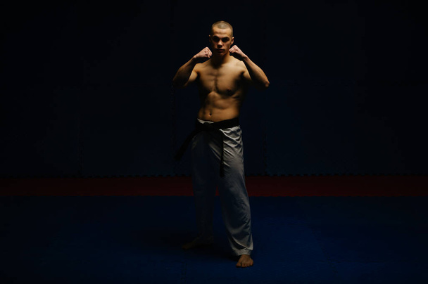 Sylwetka męskiego karatyka pozującego z czarnym pasem w studiu karate - Zdjęcie, obraz
