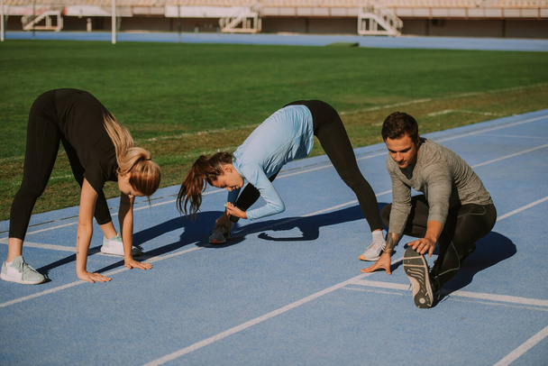A beautiful friends are stretching their bodies before workout - 写真・画像