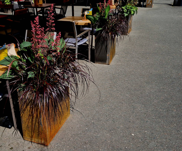 rust spots on the flower pots at the outdoor restaurant. tables on the promenade. perennials with red leaves go well with a brown pot. a dark leaf of ornamental grass hangs over the edge - Photo, Image