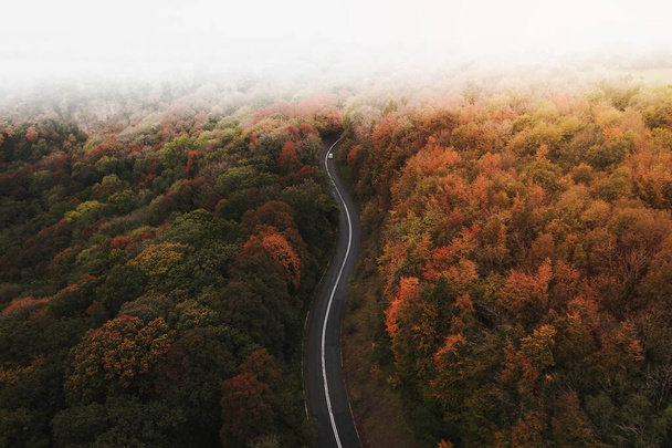 Road through an autumn scenic route - Φωτογραφία, εικόνα