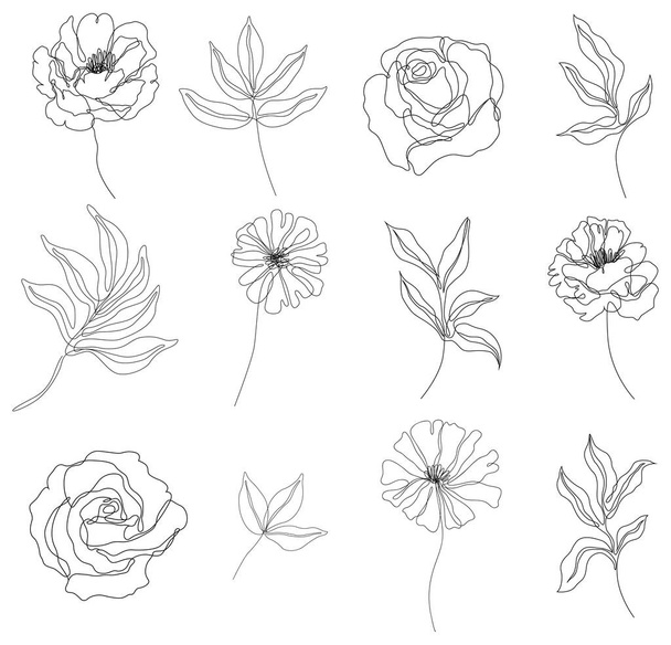 Abstract flowers isolated illustration. Wildflowers for background. Simple minimalist art set continuous line drawing. - Vector, Image