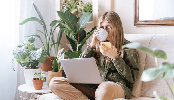 Ανεξάρτητη γυναίκα σε γυαλιά με πληκτρολόγηση κινητού τηλεφώνου στο laptop και εργασίας από το γραφείο στο σπίτι. Ευτυχισμένο κορίτσι που κάθεται στον καναπέ στο σαλόνι με τα φυτά. Εκπαίδευση και εργασία εξ αποστάσεως. - Φωτογραφία, εικόνα