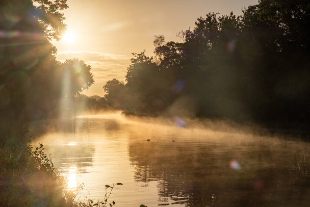 Gizemli Sabah: Gün ışığı Misty Nehri 'ni delip geçiyor, sabah sisi içinde parlayan güneşin fotoğrafı ağaçlar arasında akan bir nehrin suyu üzerinde. Kaliteli fotoğraf, Büyüye tanık ol - Fotoğraf, Görsel
