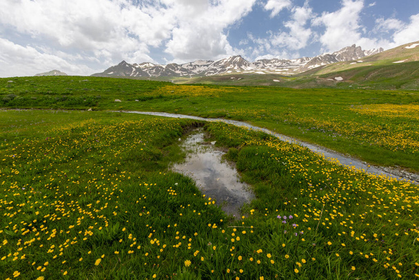 Altopiano di Berelan paesaggio montano innevato e terreno fiorito, Hakkari, Turchia - Foto, immagini