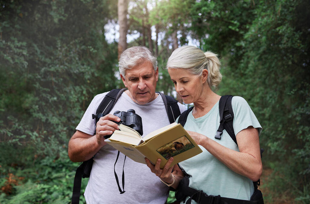 Book, bird watching and reading with old couple in nature for bonding, discovery or travel adventure. Search, hiking and view with man and woman in forest for explore, retirement or ornithology hobby. - 写真・画像