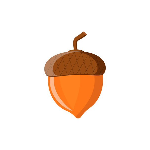 Ripe acornin the shell, acorn, oak nut, oak, autumn fruit, symbol of autumn. Vector illustration of oak seeds - Διάνυσμα, εικόνα