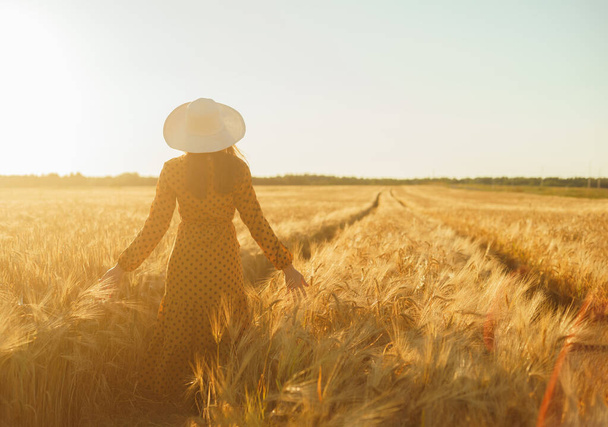 Beautiful young woman walks across the field and touches rye with her hand. Girl in the rays of the sunset. Concept of freedom and happiness. - Фото, изображение