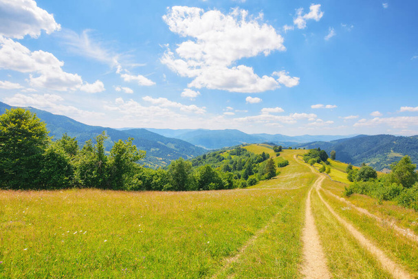 country road down the hills and meadows rolling in to the distant valley. mountainous countryside landscape of ukrainian carpathians in summer - Zdjęcie, obraz