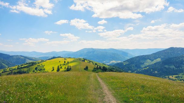 trail through rural fields and meadows on the hills. carpathian countryside in summer with mountain range in the distance. sunny afternoon weather - 写真・画像